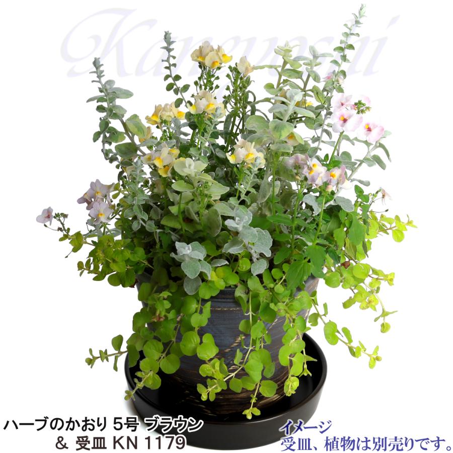植木鉢 おしゃれ 安い 陶器 サイズ 16cm ハーブのかおり 5号 ブラウン 室内 屋外 茶 色 |  | 11