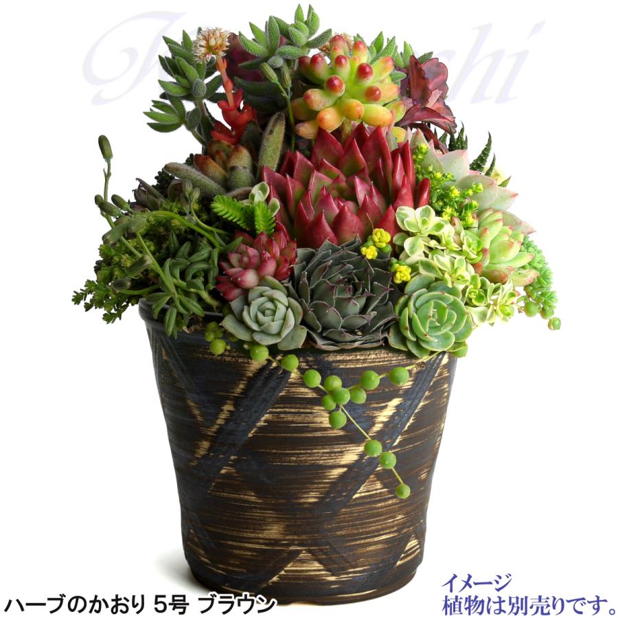 植木鉢 おしゃれ 安い 陶器 サイズ 16cm ハーブのかおり 5号 ブラウン 室内 屋外 茶 色 |  | 08