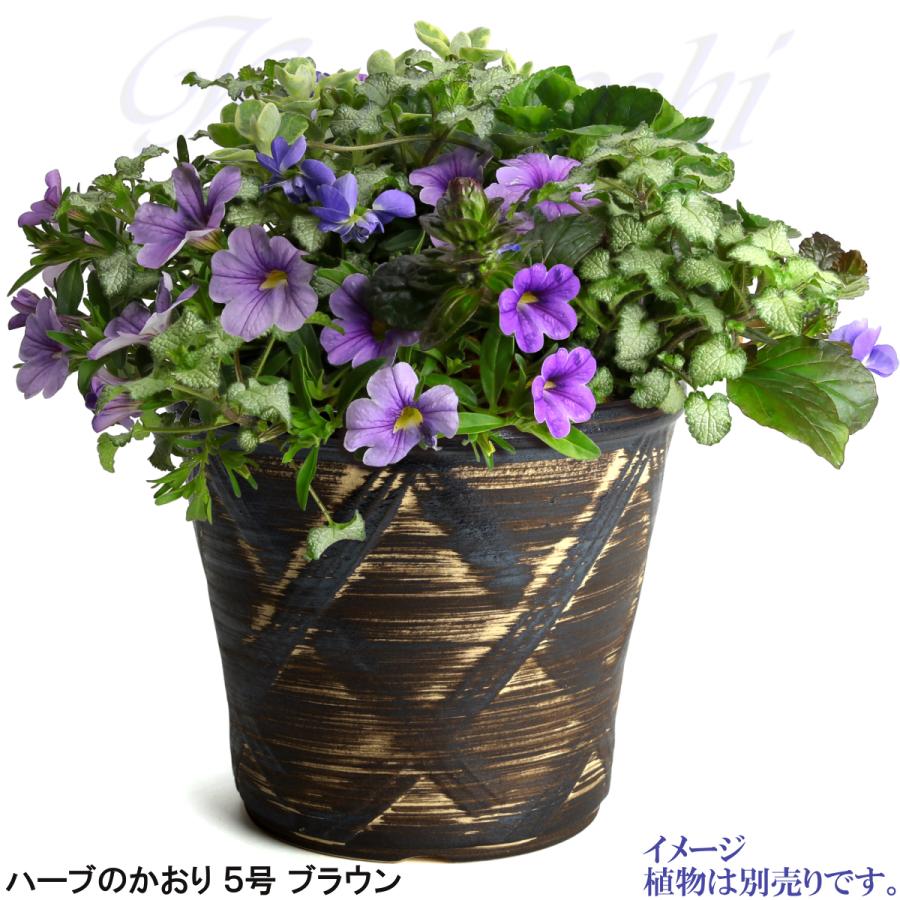 植木鉢 おしゃれ 安い 陶器 サイズ 16cm ハーブのかおり 5号 ブラウン 室内 屋外 茶 色 |  | 09