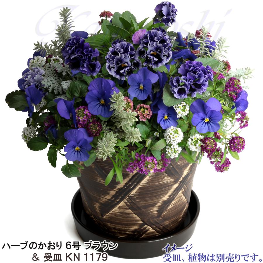 植木鉢 おしゃれ 安い 陶器 サイズ 19cm ハーブのかおり 6号 ブラウン 室内 屋外 茶 色 |  | 11