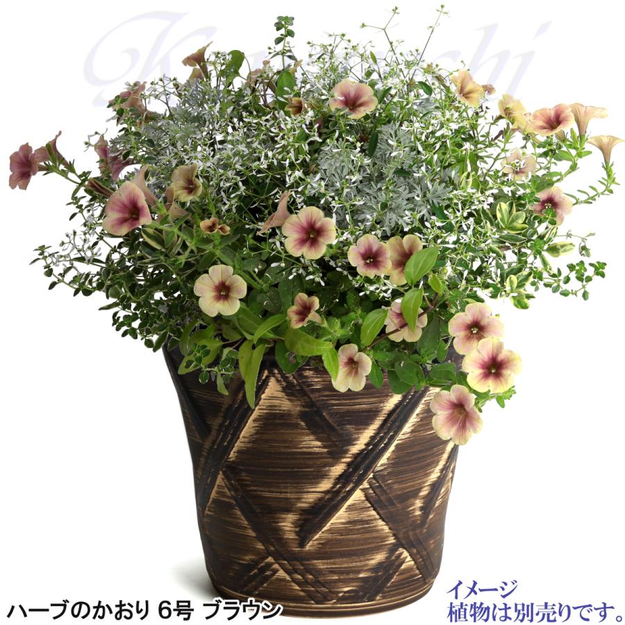 植木鉢 おしゃれ 安い 陶器 サイズ 19cm ハーブのかおり 6号 ブラウン 室内 屋外 茶 色 |  | 08