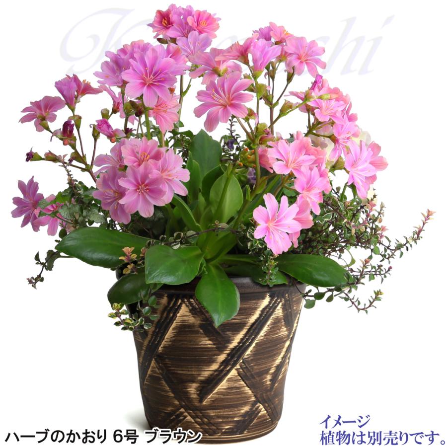 植木鉢 おしゃれ 安い 陶器 サイズ 19cm ハーブのかおり 6号 ブラウン 室内 屋外 茶 色 |  | 09