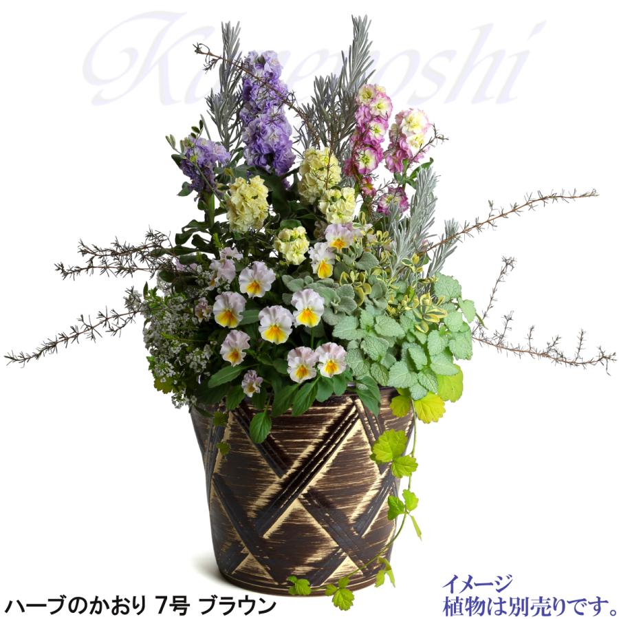 植木鉢 おしゃれ 安い 陶器 サイズ 23cm ハーブのかおり 7号 ブラウン 室内 屋外 茶 色 |  | 08