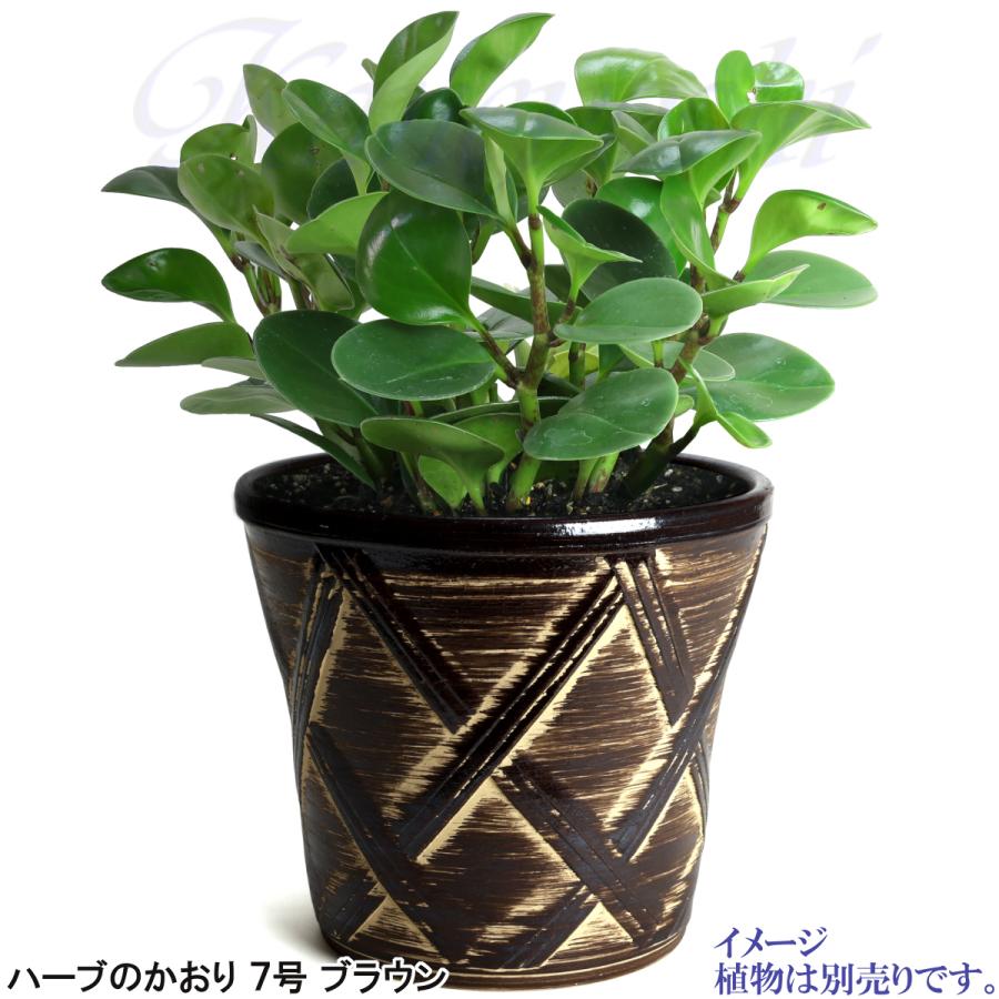 植木鉢 おしゃれ 安い 陶器 サイズ 23cm ハーブのかおり 7号 ブラウン 室内 屋外 茶 色 |  | 09