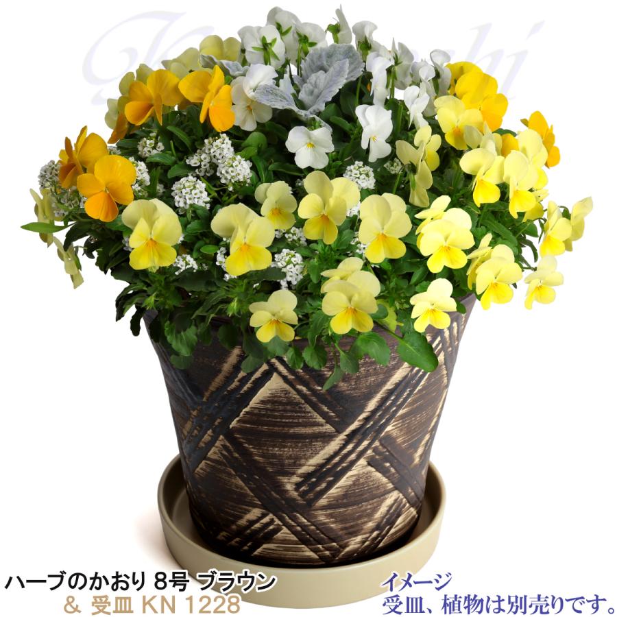 植木鉢 おしゃれ 安い 陶器 サイズ 25cm ハーブのかおり 8号 ブラウン 室内 屋外 茶 色 |  | 11