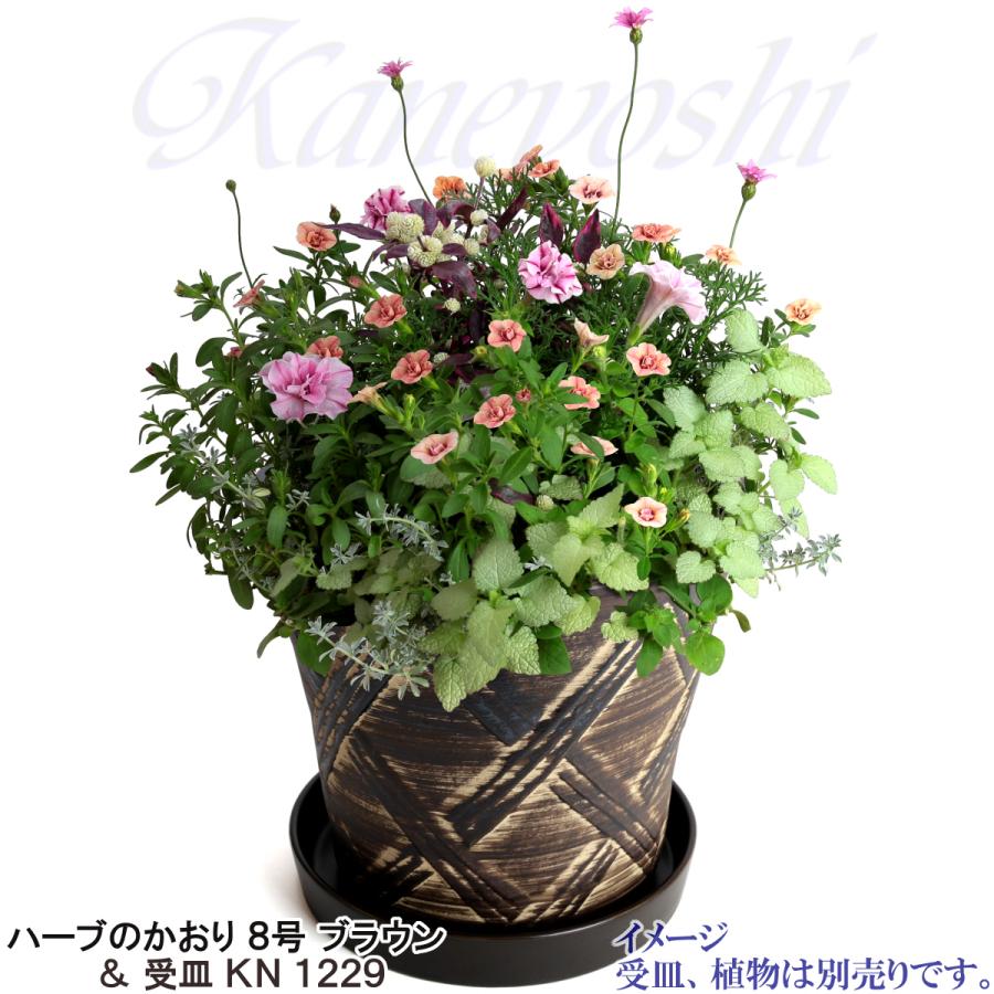 植木鉢 おしゃれ 安い 陶器 サイズ 25cm ハーブのかおり 8号 ブラウン 室内 屋外 茶 色 |  | 12