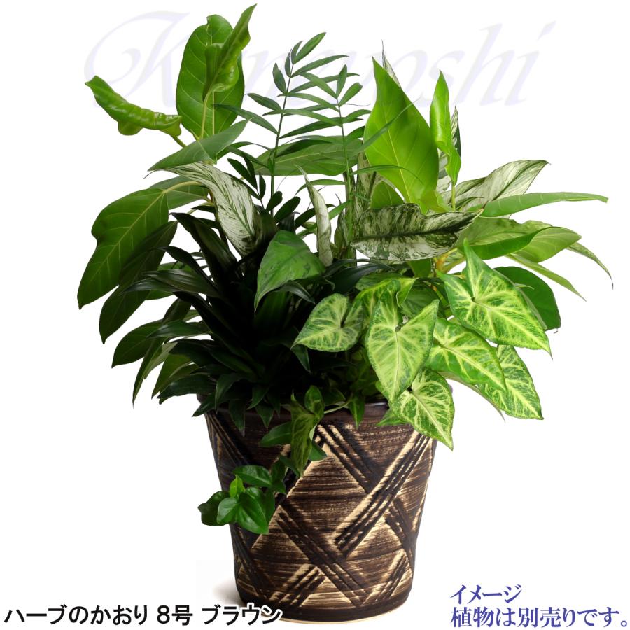 植木鉢 おしゃれ 安い 陶器 サイズ 25cm ハーブのかおり 8号 ブラウン 室内 屋外 茶 色 |  | 08