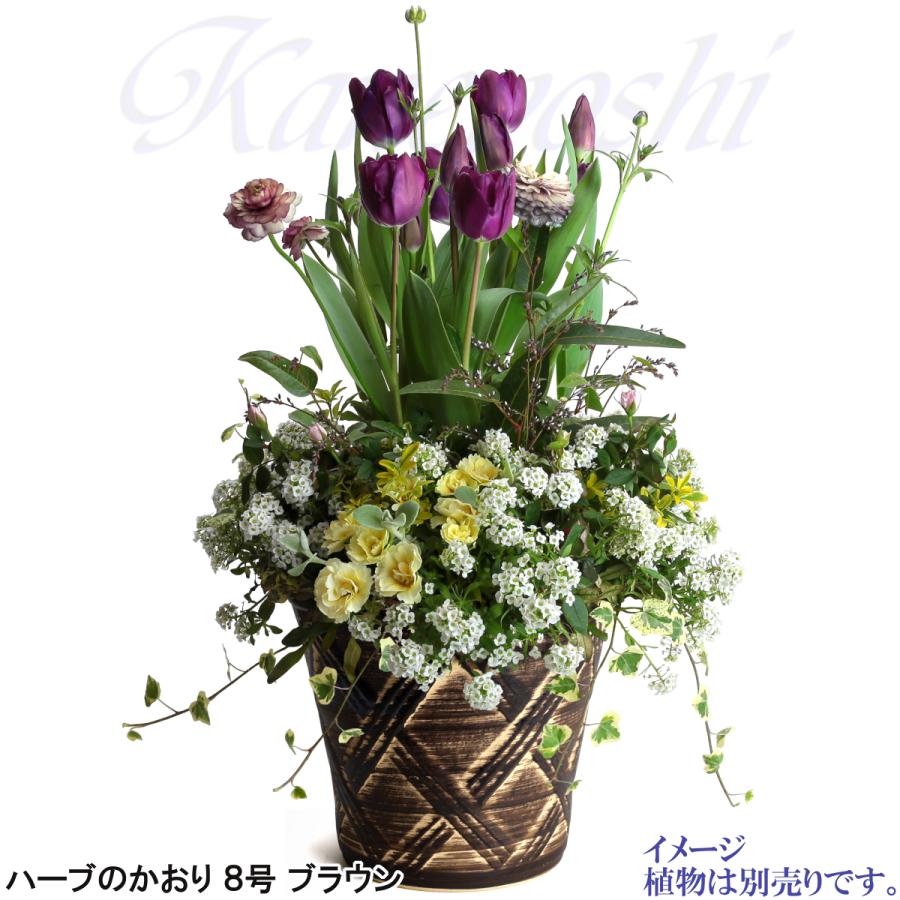 植木鉢 おしゃれ 安い 陶器 サイズ 25cm ハーブのかおり 8号 ブラウン 室内 屋外 茶 色 |  | 09