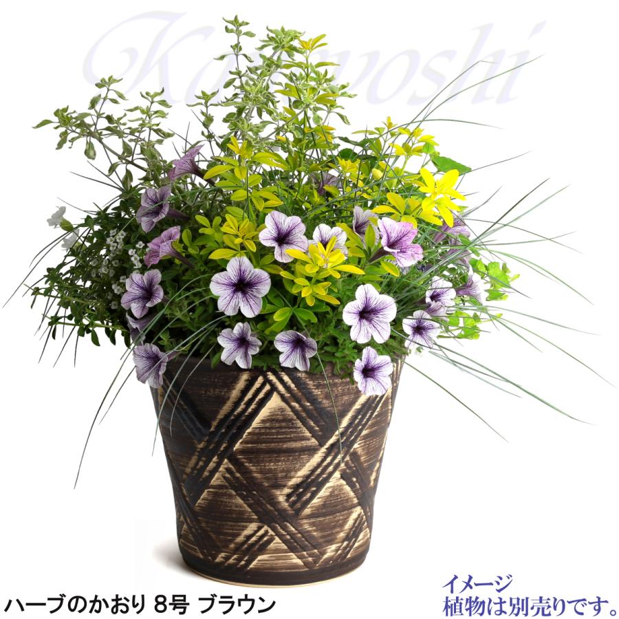 植木鉢 おしゃれ 安い 陶器 サイズ 25cm ハーブのかおり 8号 ブラウン 室内 屋外 茶 色 |  | 10