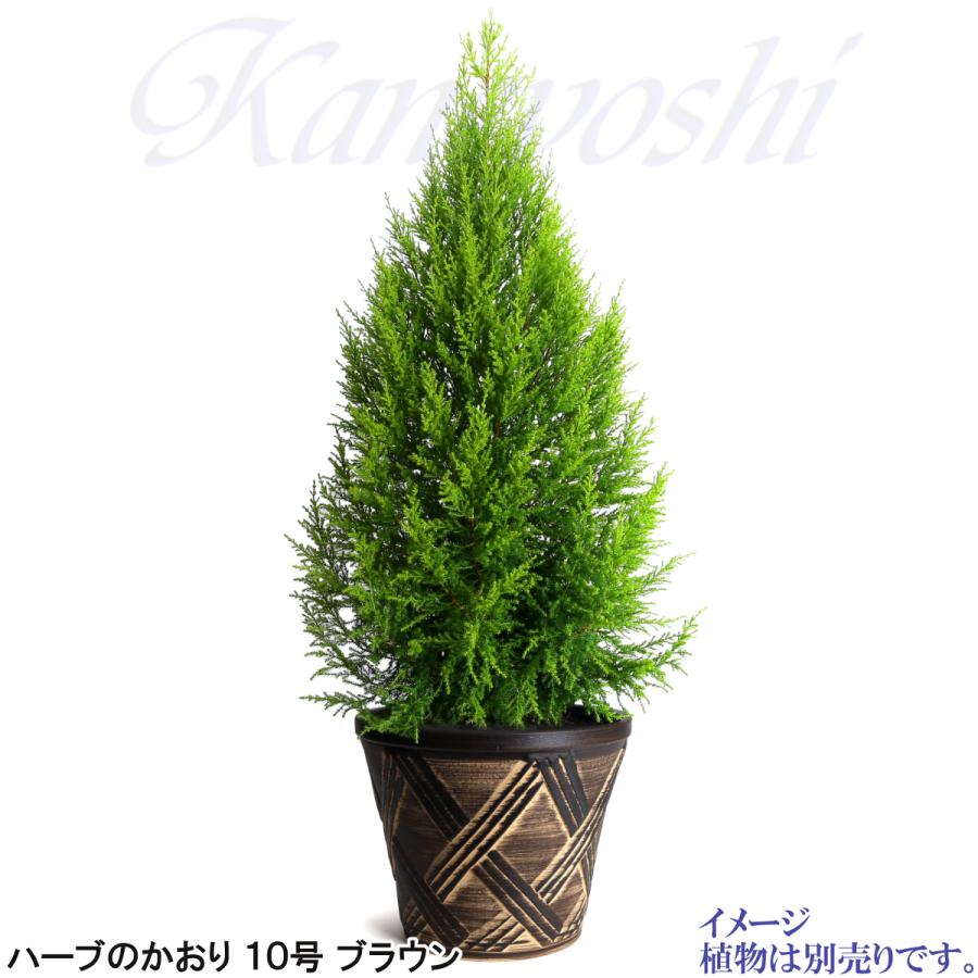 植木鉢 おしゃれ 安い 陶器 サイズ 31cm ハーブのかおり 10号 ブラウン 室内 屋外 茶 色 |  | 10
