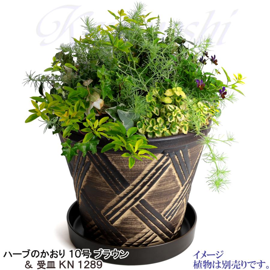植木鉢 おしゃれ 安い 陶器 サイズ 31cm ハーブのかおり 10号 ブラウン 室内 屋外 茶 色 |  | 11