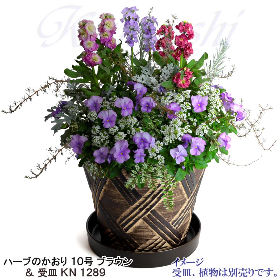 植木鉢 おしゃれ 安い 陶器 サイズ 31cm ハーブのかおり 10号 ブラウン 室内 屋外 茶 色 |  | 12