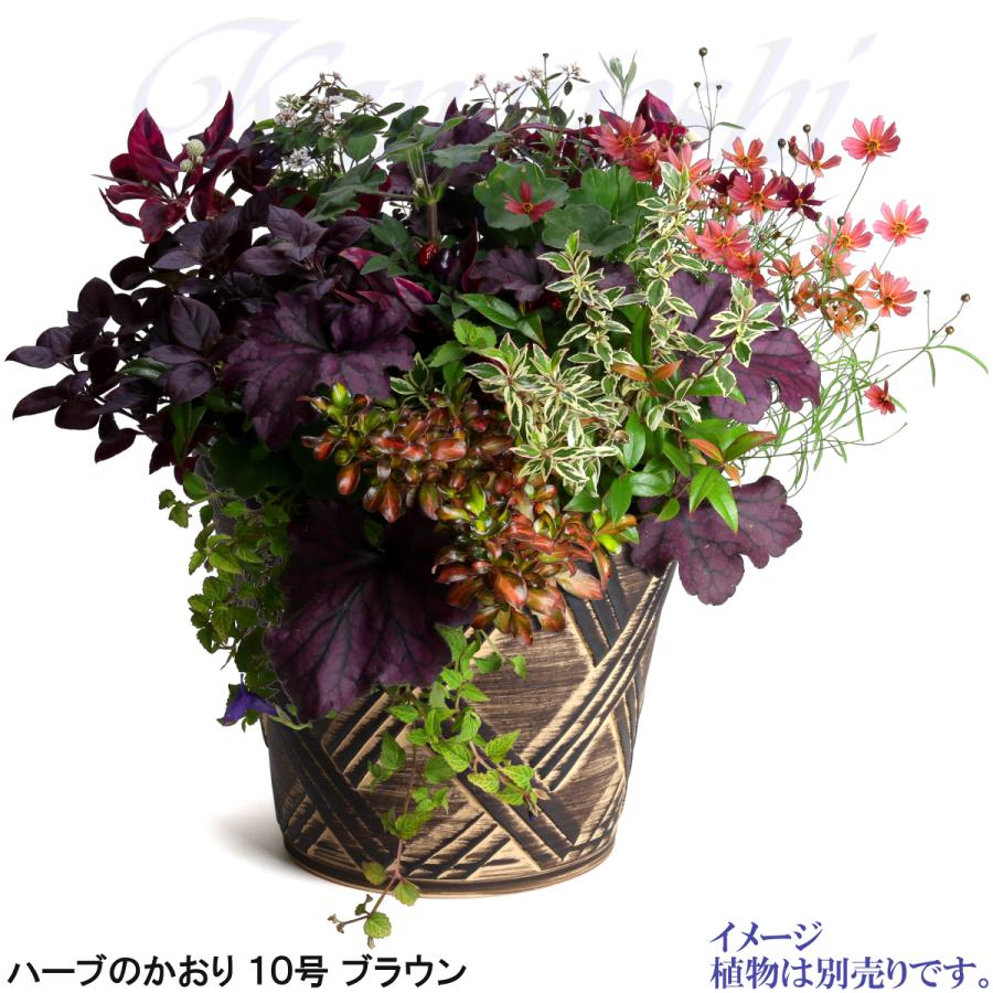 植木鉢 おしゃれ 安い 陶器 サイズ 31cm ハーブのかおり 10号 ブラウン 室内 屋外 茶 色 |  | 07