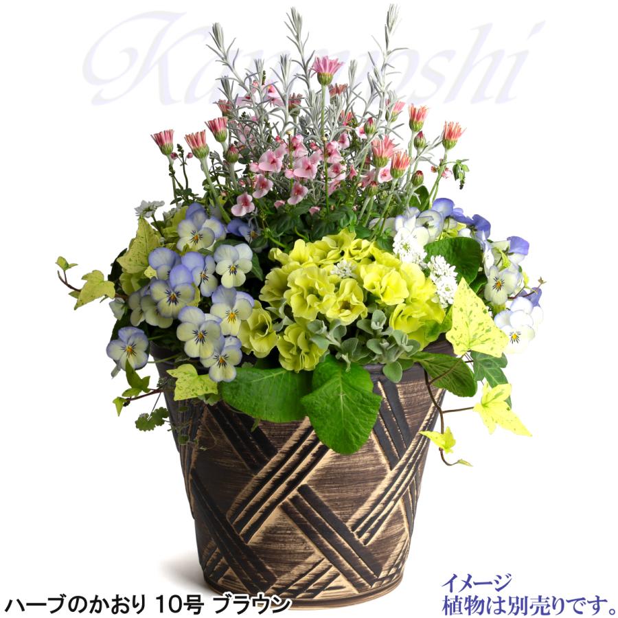 植木鉢 おしゃれ 安い 陶器 サイズ 31cm ハーブのかおり 10号 ブラウン 室内 屋外 茶 色 |  | 09