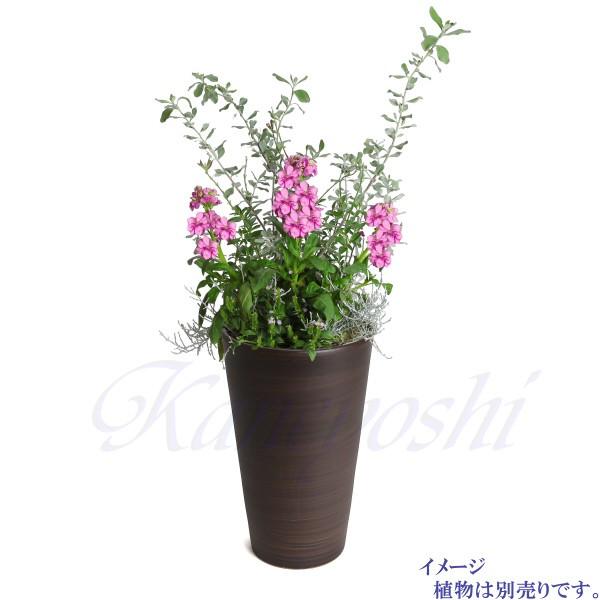 植木鉢 おしゃれ 安い 陶器 サイズ 12.5cm ハーモニー 4号 ブラウン 室内 屋外 茶 色 |  | 09