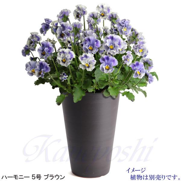 植木鉢 おしゃれ 安い 陶器 サイズ 16cm ハーモニー 5号 ブラウン 室内 屋外 茶 色 |  | 07