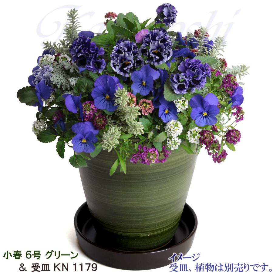 植木鉢 おしゃれ 安い 陶器 サイズ 19cm 小春 6号 グリーン 室内 屋外 緑 色 |  | 10