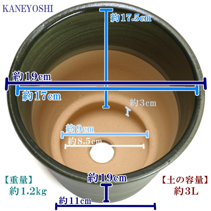 植木鉢 おしゃれ 安い 陶器 サイズ 19cm 小春 6号 グリーン 室内 屋外 緑 色 |  | 03