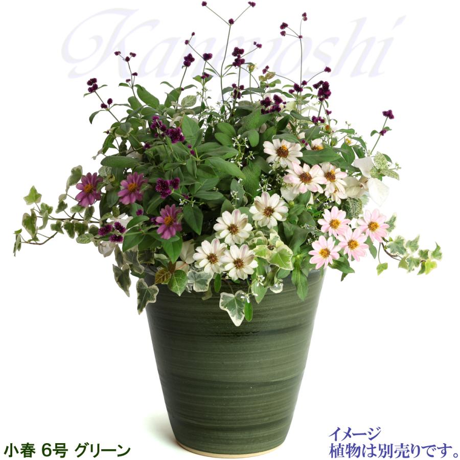 植木鉢 おしゃれ 安い 陶器 サイズ 19cm 小春 6号 グリーン 室内 屋外 緑 色 |  | 08