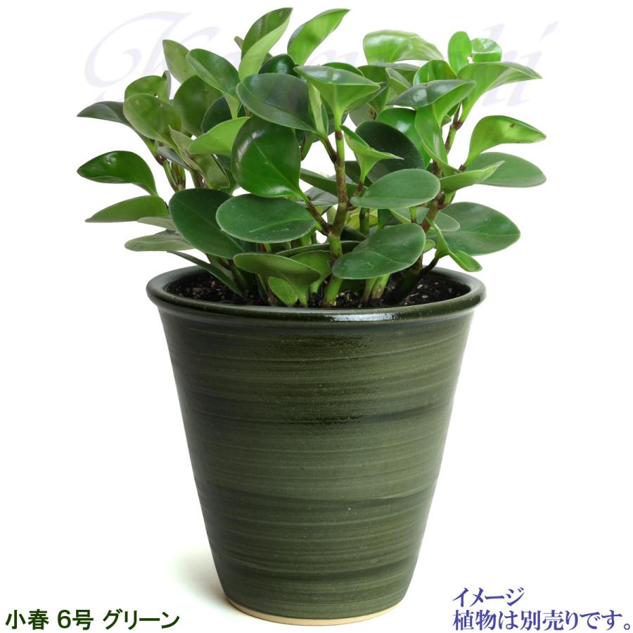 植木鉢 おしゃれ 安い 陶器 サイズ 19cm 小春 6号 グリーン 室内 屋外 緑 色 |  | 09