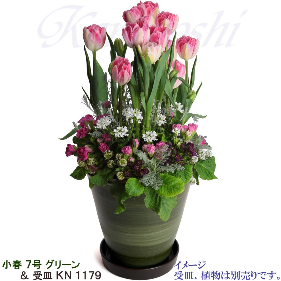 植木鉢 おしゃれ 安い 陶器 サイズ 22cm 小春 7号 グリーン 室内 屋外 緑 色 |  | 11