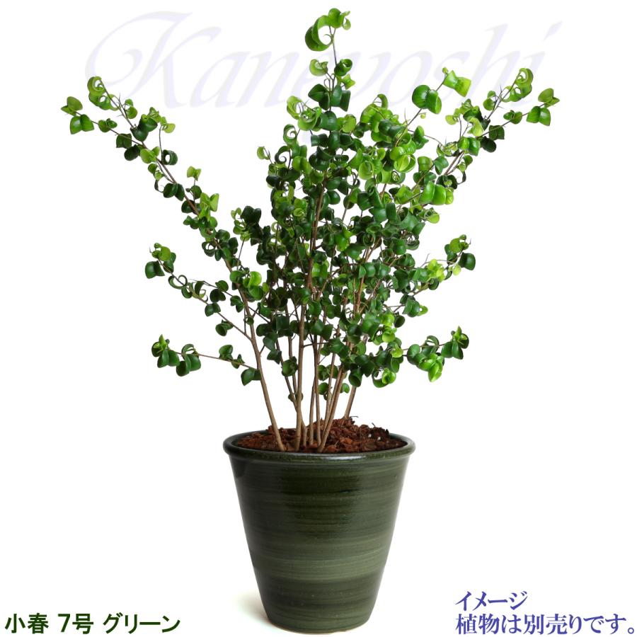 植木鉢 おしゃれ 安い 陶器 サイズ 22cm 小春 7号 グリーン 室内 屋外 緑 色 |  | 07