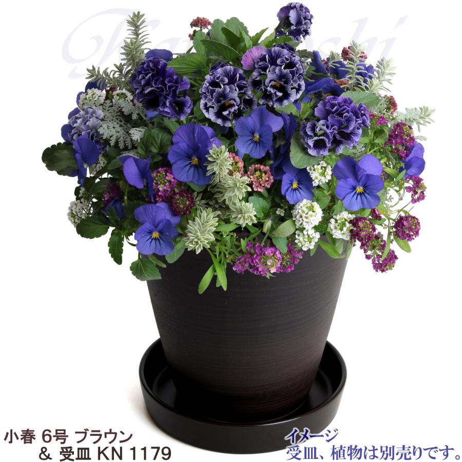 植木鉢 おしゃれ 安い 陶器 サイズ 19cm 小春 6号 ブラウン 室内 屋外 茶 色 |  | 10