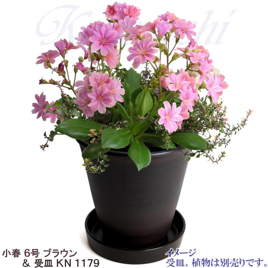 植木鉢 おしゃれ 安い 陶器 サイズ 19cm 小春 6号 ブラウン 室内 屋外 茶 色 |  | 11