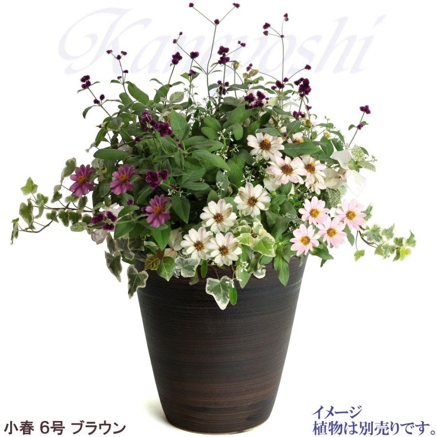 植木鉢 おしゃれ 安い 陶器 サイズ 19cm 小春 6号 ブラウン 室内 屋外 茶 色 |  | 07