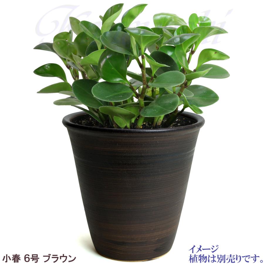 植木鉢 おしゃれ 安い 陶器 サイズ 19cm 小春 6号 ブラウン 室内 屋外 茶 色 |  | 09