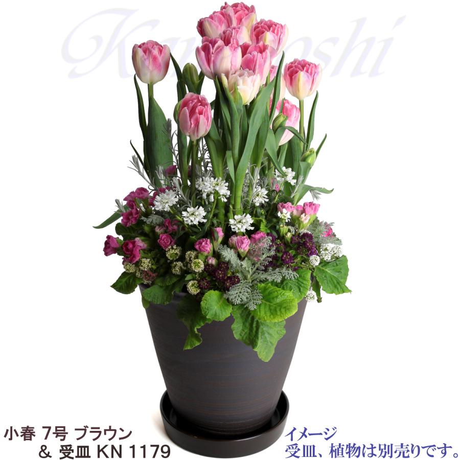 植木鉢 おしゃれ 安い 陶器 サイズ 22cm 小春 7号 ブラウン 室内 屋外 茶 色 |  | 11