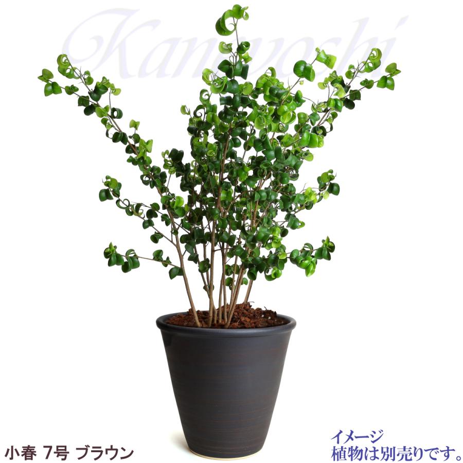 植木鉢 おしゃれ 安い 陶器 サイズ 22cm 小春 7号 ブラウン 室内 屋外 茶 色 |  | 09