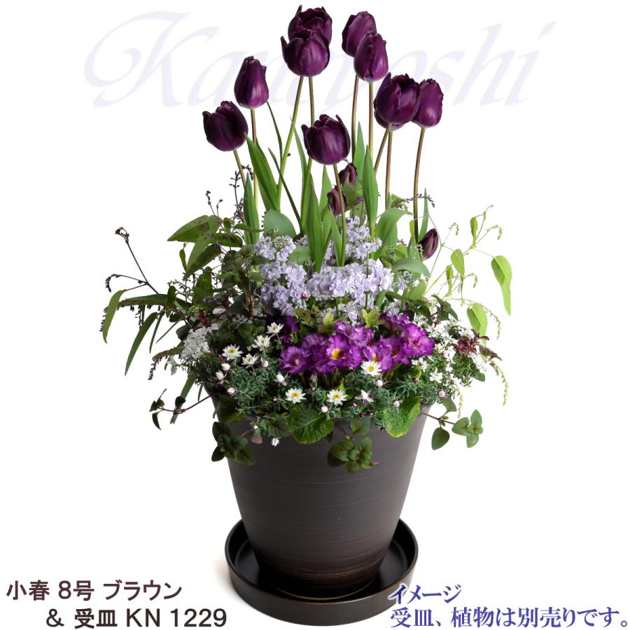 植木鉢　陶器　おしゃれ　サイズ　２３．５ｃｍ　安くて丈夫　小春　８号　ブラウン |  | 10