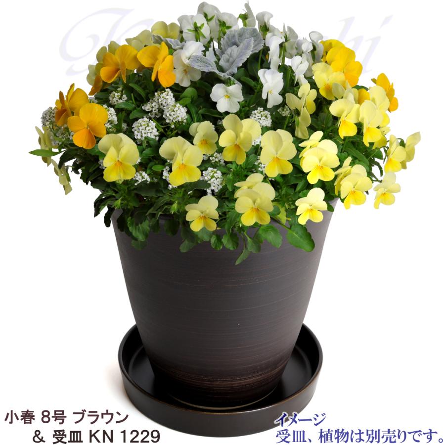 植木鉢　陶器　おしゃれ　サイズ　２３．５ｃｍ　安くて丈夫　小春　８号　ブラウン |  | 11