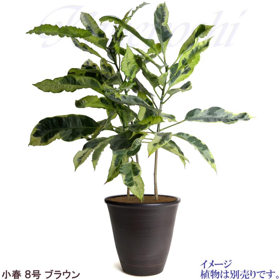 植木鉢　陶器　おしゃれ　サイズ　２３．５ｃｍ　安くて丈夫　小春　８号　ブラウン |  | 08