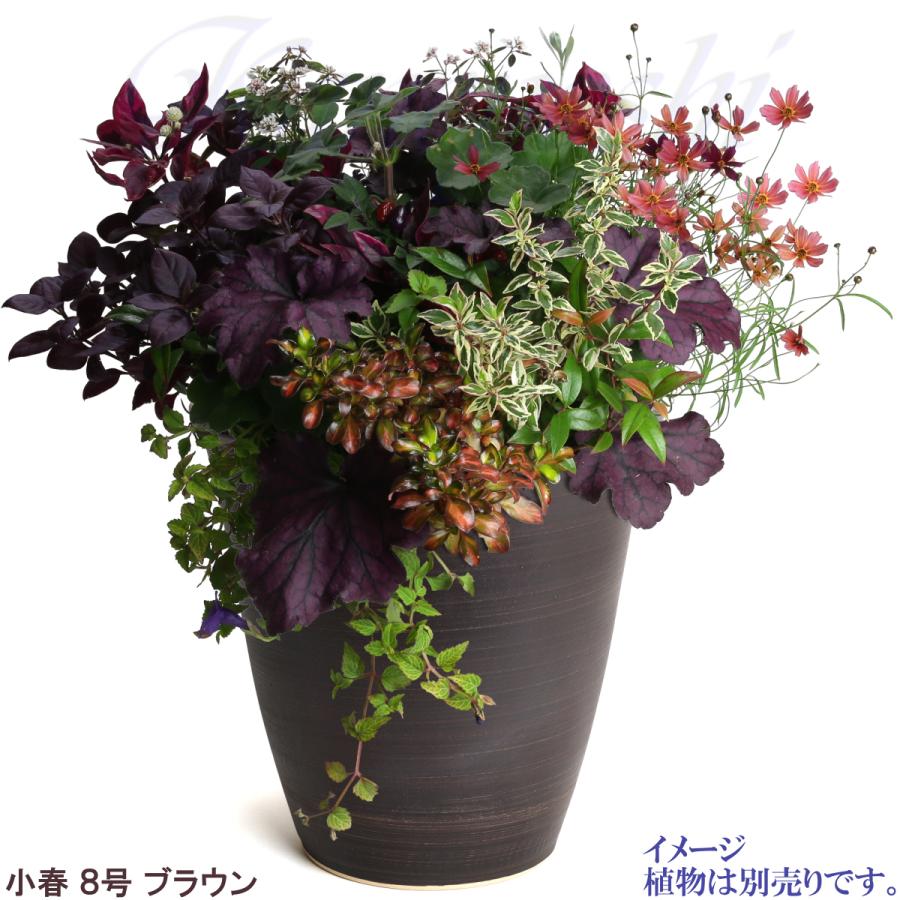植木鉢　陶器　おしゃれ　サイズ　２３．５ｃｍ　安くて丈夫　小春　８号　ブラウン |  | 09