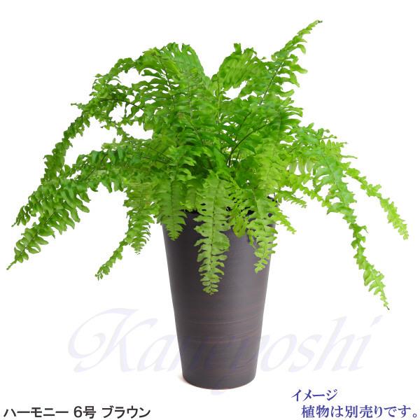 植木鉢 おしゃれ 安い 陶器 サイズ 19cm ハーモニー 6号 ブラウン 室内 屋外 茶 色 |  | 09