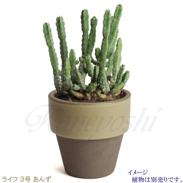 植木鉢　陶器　おしゃれ　サイズ　９．３ｃｍ　和ライフ　モカ　あんず　３号 |  | 07