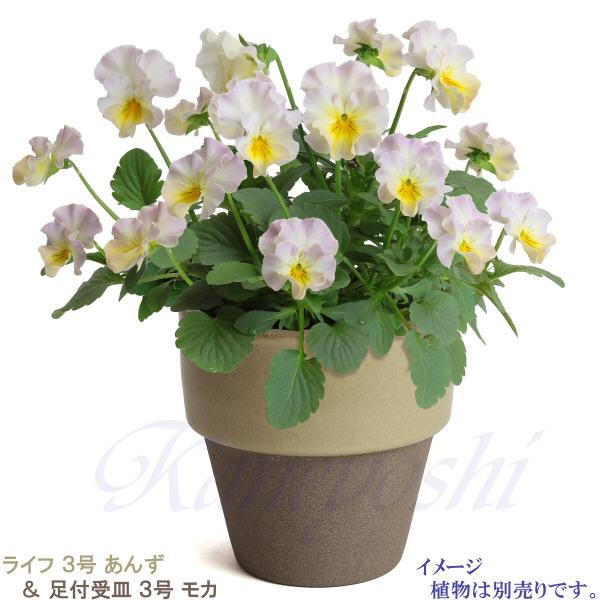 植木鉢　陶器　おしゃれ　サイズ　９．３ｃｍ　和ライフ　モカ　あんず　３号 |  | 08