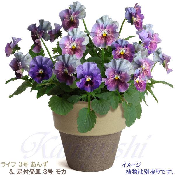 植木鉢　陶器　おしゃれ　サイズ　９．３ｃｍ　和ライフ　モカ　あんず　３号 |  | 09