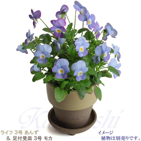 植木鉢　陶器　おしゃれ　サイズ　９．３ｃｍ　和ライフ　モカ　あんず　３号 |  | 10