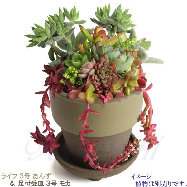 植木鉢　陶器　おしゃれ　サイズ　９．３ｃｍ　和ライフ　モカ　あんず　３号 |  | 11