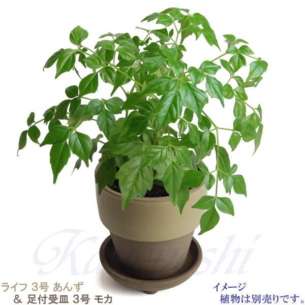 植木鉢　陶器　おしゃれ　サイズ　９．３ｃｍ　和ライフ　モカ　あんず　３号 |  | 12