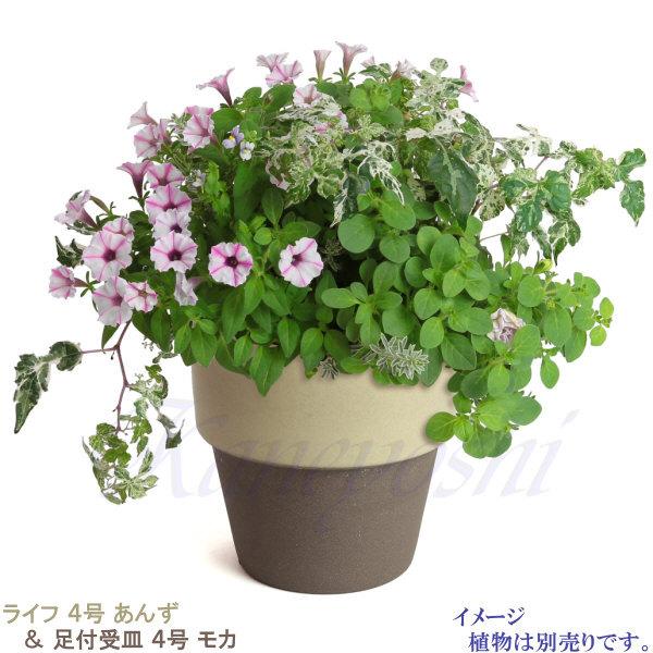 植木鉢　陶器　おしゃれ　サイズ　１２．５ｃｍ　和ライフ　モカ　あんず　４号 |  | 08