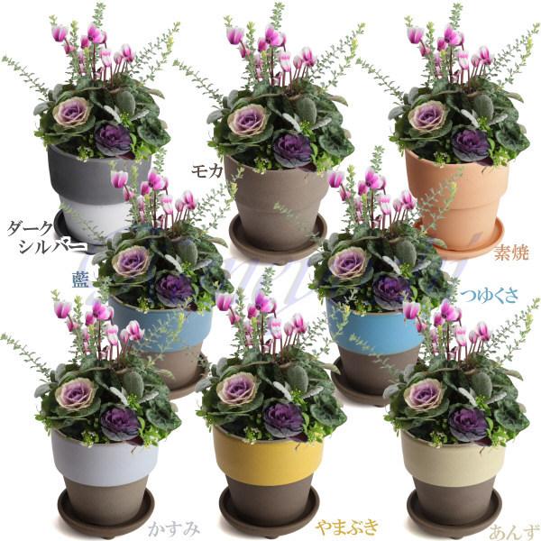 植木鉢　陶器　おしゃれ　サイズ　１２．５ｃｍ　和ライフ　モカ　あんず　４号 |  | 09