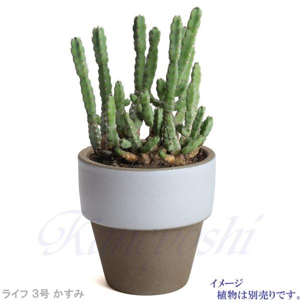 植木鉢　陶器　おしゃれ　サイズ　９．３ｃｍ　和ライフ　モカ　かすみ　３号 |  | 07