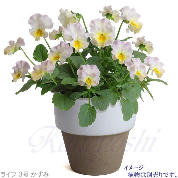 植木鉢　陶器　おしゃれ　サイズ　９．３ｃｍ　和ライフ　モカ　かすみ　３号 |  | 08