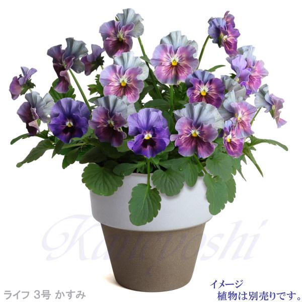 植木鉢　陶器　おしゃれ　サイズ　９．３ｃｍ　和ライフ　モカ　かすみ　３号 |  | 09