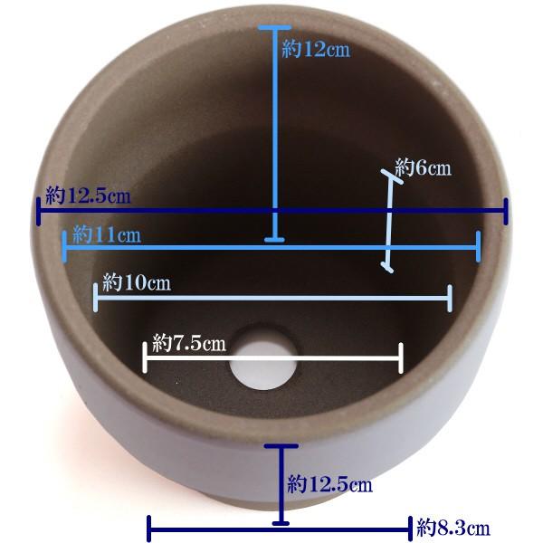 植木鉢　陶器　おしゃれ　サイズ　１２．５ｃｍ　和ライフ　モカかすみ　４号 |  | 03