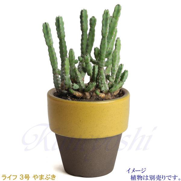 植木鉢　陶器　おしゃれ　サイズ　９．３ｃｍ　和ライフ　モカやまぶき　３号 |  | 07